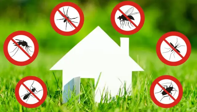 Avviso - disinfestazione venerdi' 21 giugno 2024 dalle ore 24:00 Avviso - disinfestazione venerdi' 21 giugno 2024 dalle ore 24:00